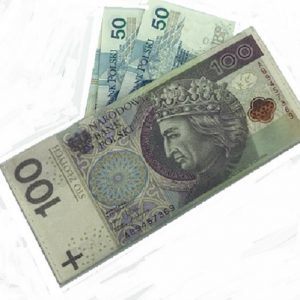 Portfel 100zł